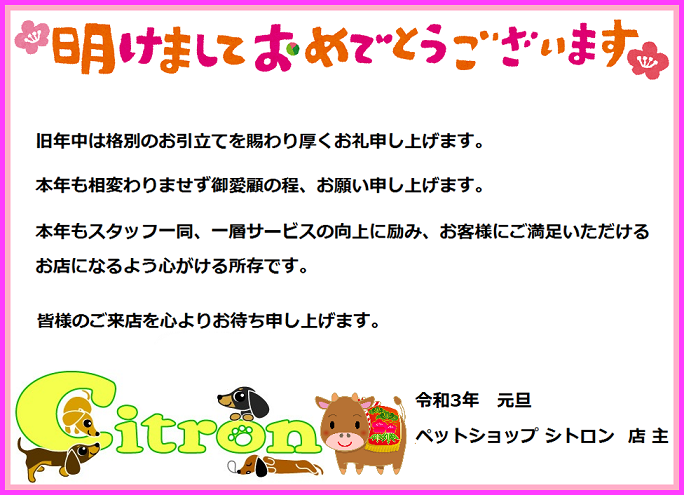 新年のご挨拶 新年のご挨拶