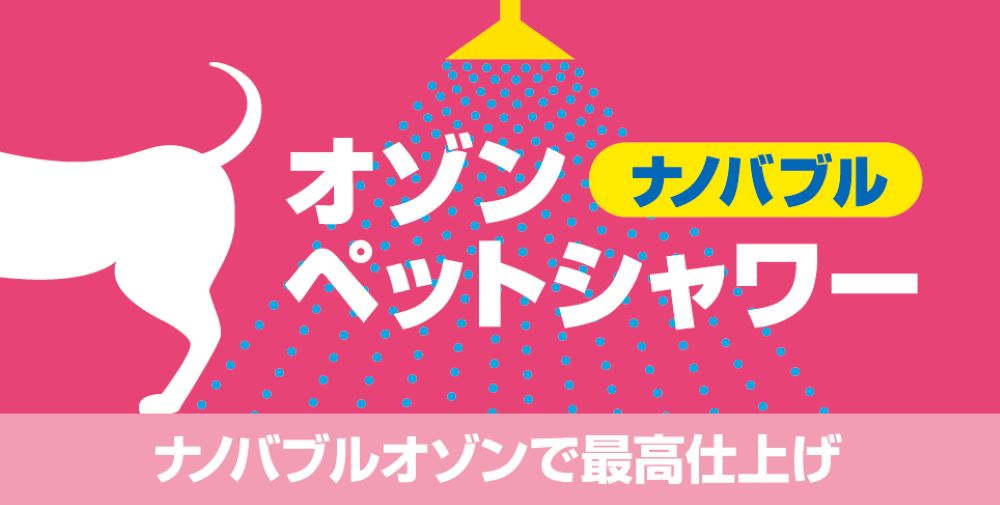 シトロンのトリミングについて