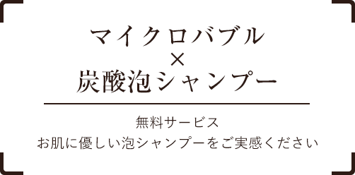 岸和田市の犬猫専門ペットショップ