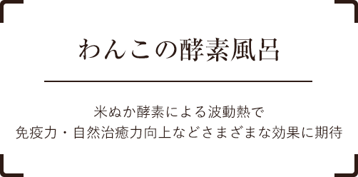 オーガニックシャンプー取り扱い店