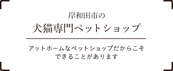 ペットショップ シトロン 岸和田市のトリミング ペットホテル