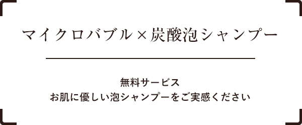 岸和田市の犬猫専門ペットショップ